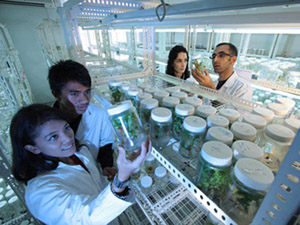 Science Laboratory ddos压力测试网页端