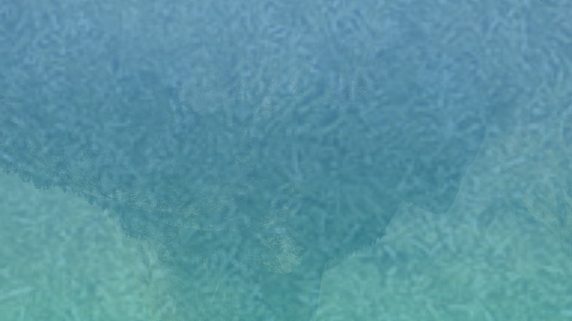 一站式管理的网页攻击器